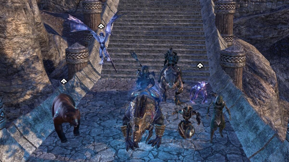 Tamriel's Adopt-a-Pet