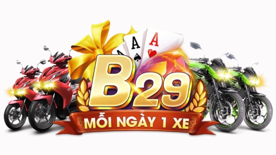 B29