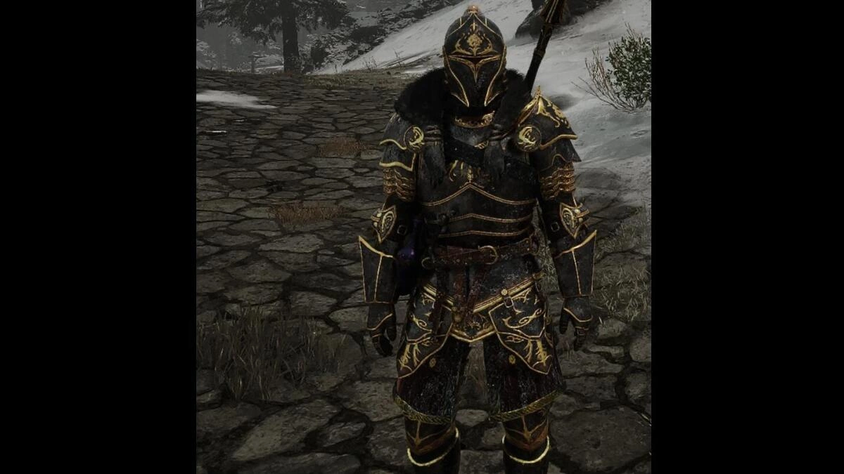 Oblivion-like Ebony Knight