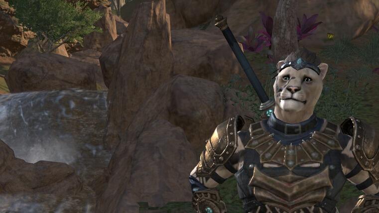 RP/Solo Stamina Warden