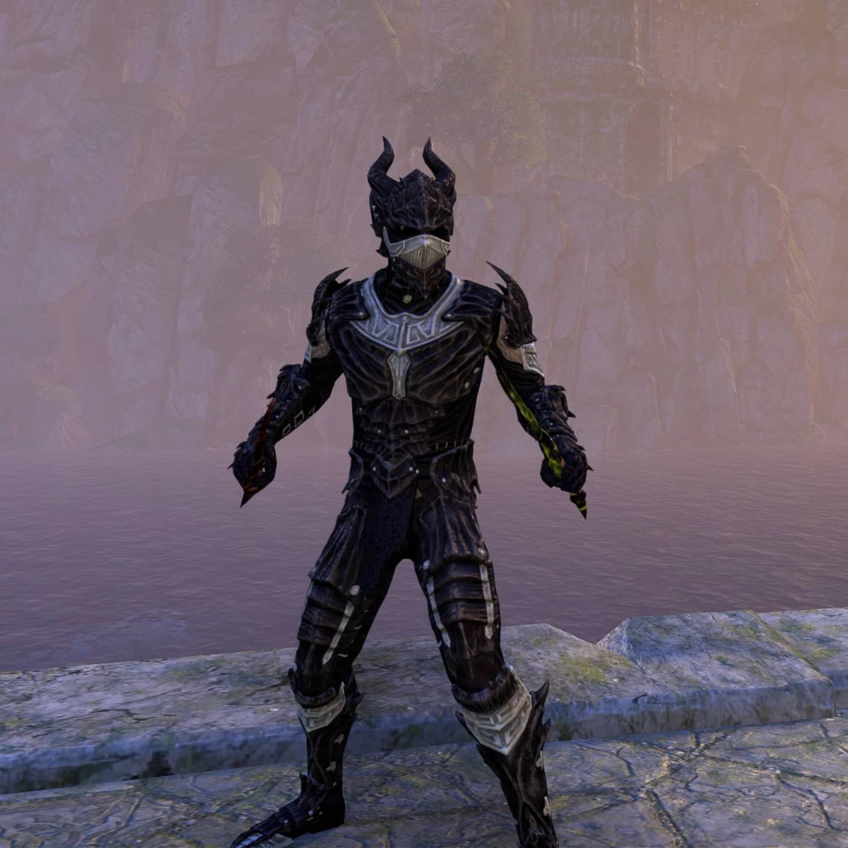 One Bar Stamina Necromancer Build for ESO Outfit 2