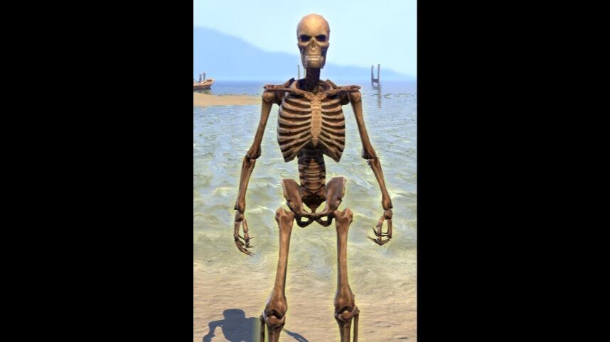 EFE BABA TANK SORC (Updated)