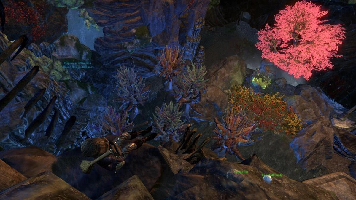 Everything Everywhere All at Once