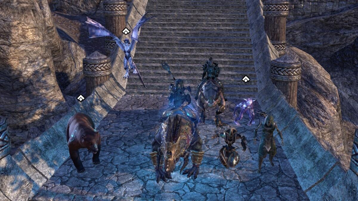 Soundwave Presents: Tamriel's Adopt-a-Pet