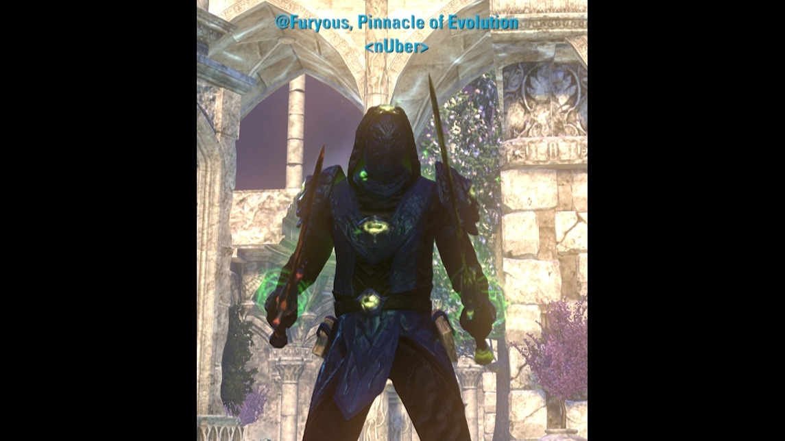 Fury's Dark Elf Arc DPS
