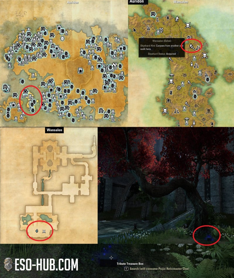 Psijic Relicmaster Clue map
