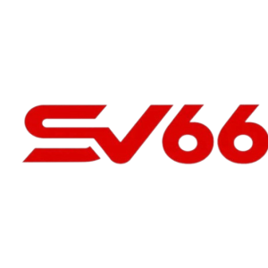 sv66voto