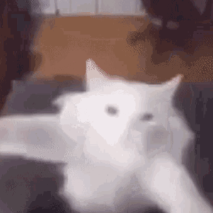Limbo