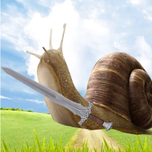 SwordAndSnail