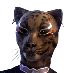 wailllyam23