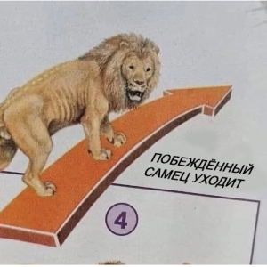 legateocto