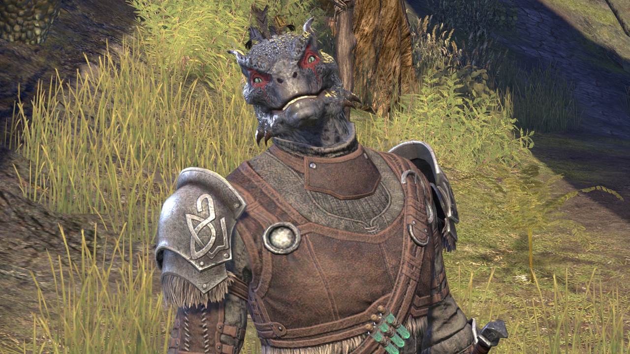 Sharp-as-Night Companion Build ESO – Sharp-as-Night Build Setups