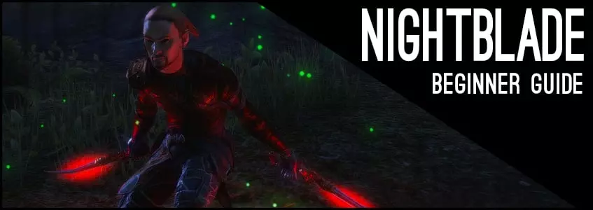 Stamina Nightblade Beginner Guide for ESO