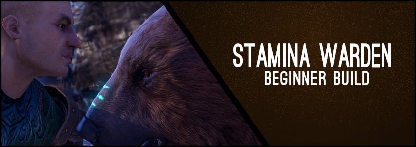 Stamina Warden Beginner Build ChampPoints 160 PvE
