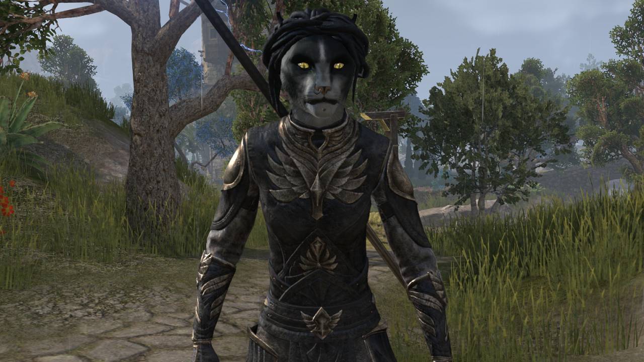 Ember Companion Guide for ESO – Ember Basics