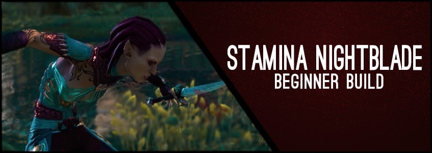 Stamina Nightblade Beginner Build ChampPoints 160 PvE