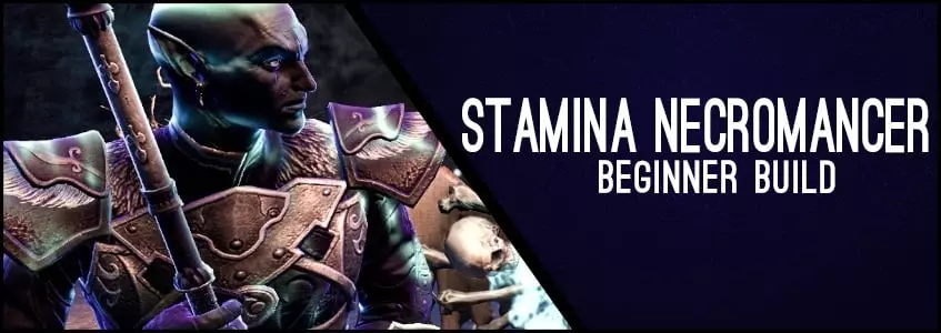 Stamina Necromancer Beginner Build ChampPoints 160 PvE