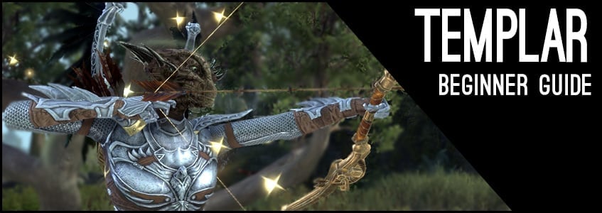 Stamina Templar Beginner Guide for ESO
