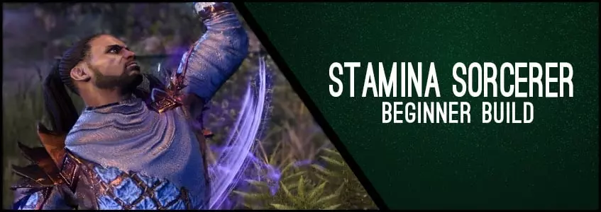 Stamina Sorcerer Beginner Build ChampPoints 160 PvE