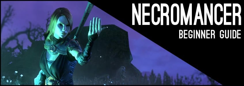 Magicka Necromancer Beginner Guide for ESO