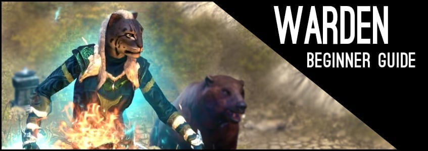 Magicka Warden Beginner Guide for ESO