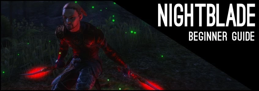 Stamina Nightblade Beginner Guide for ESO