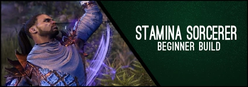Stamina Sorcerer Beginner Build ChampPoints 160 PvE