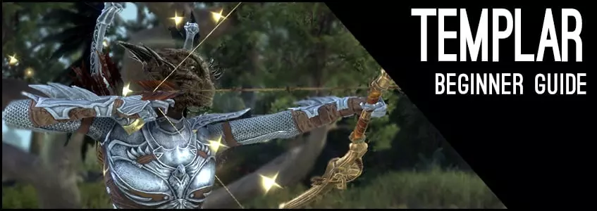 Stamina Templar Beginner Guide for ESO