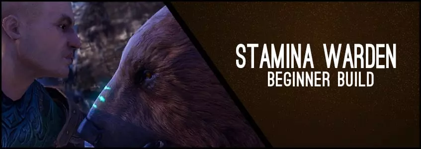 Stamina Warden Beginner Build ChampPoints 160 PvE