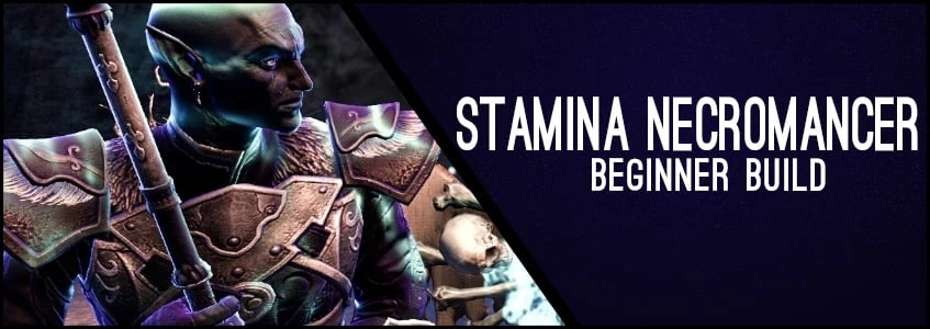 Stamina Necromancer Beginner Build ChampPoints 160 PvE