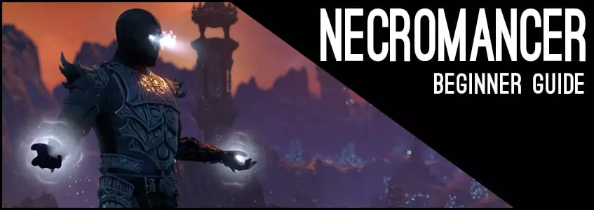 Stamina Necromancer Beginner Guide for ESO